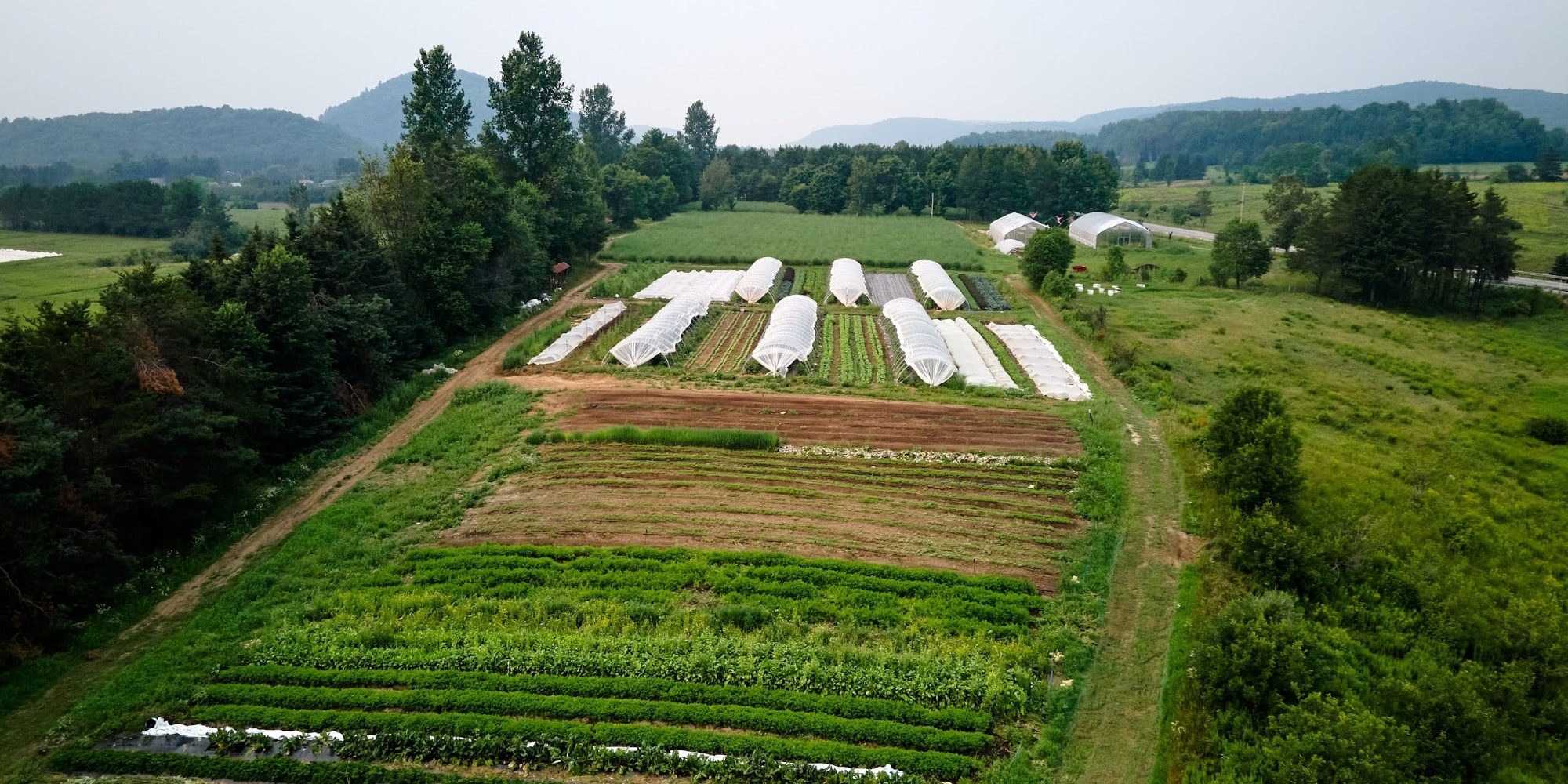 Créer une ferme : étapes essentielles pour démarrer votre projet agricole